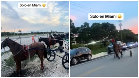 carreras de caballos araña vs rolex|Cubanos llevan a Miami las carreras de caballos en arañas.